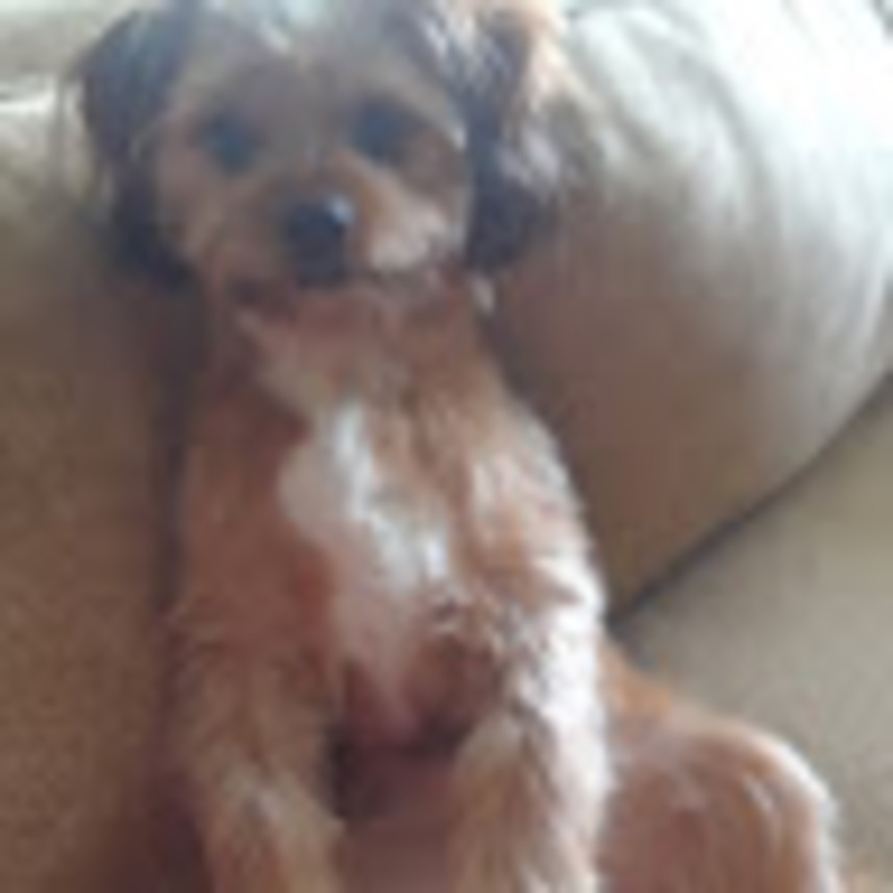 Meet your Posher, Kyra